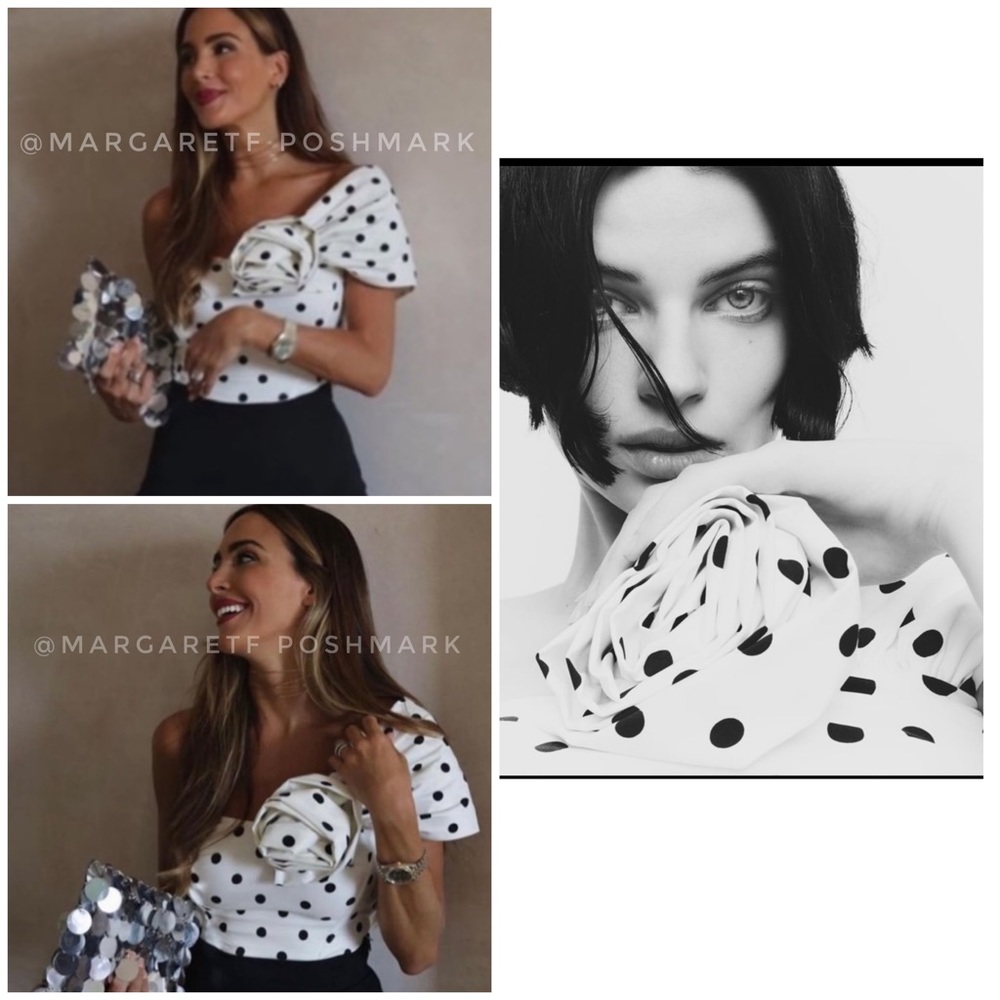 Zara rose polka dot top bustier 3D 2023